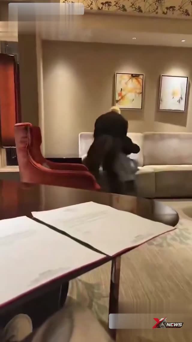 活着的传奇！李京泽设鸿门宴暴打OneOne，妥妥管制刀具代言人